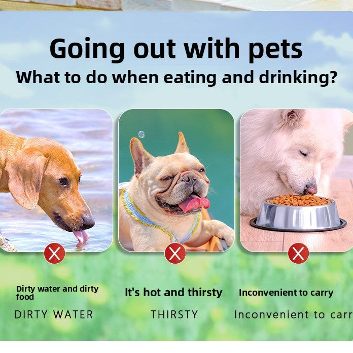 Pet Feeding Bowl
