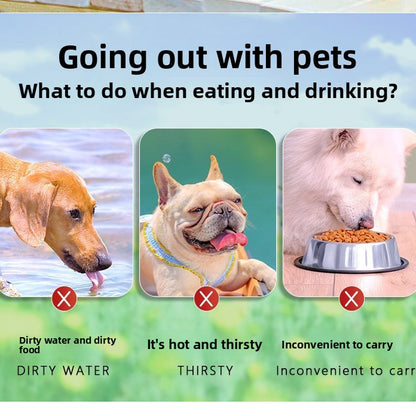 Pet Feeding Bowl