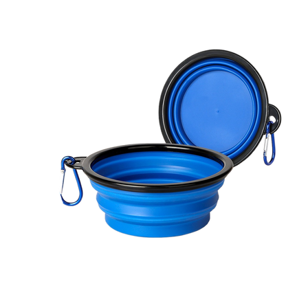 Pet Feeding Bowl