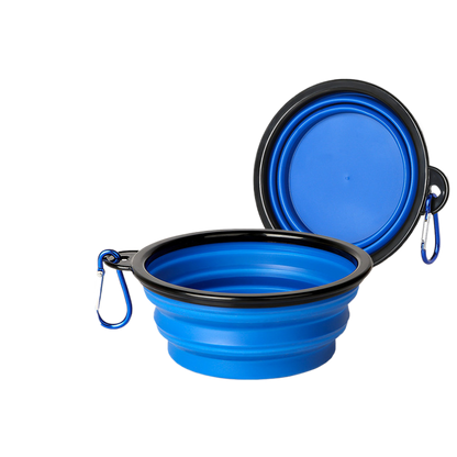 Pet Feeding Bowl
