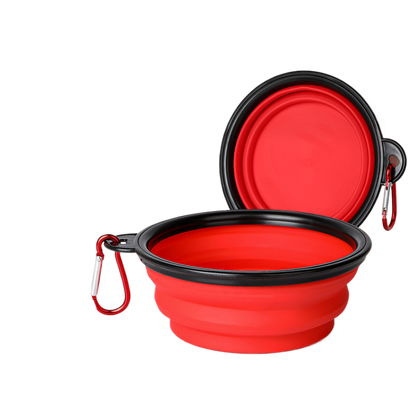 Pet Feeding Bowl