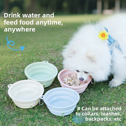 Pet Feeding Bowl