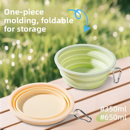 Pet Feeding Bowl