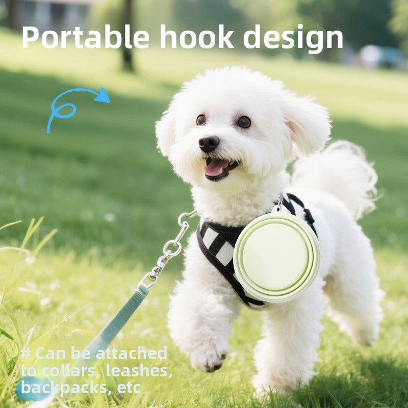 Pet Feeding Bowl