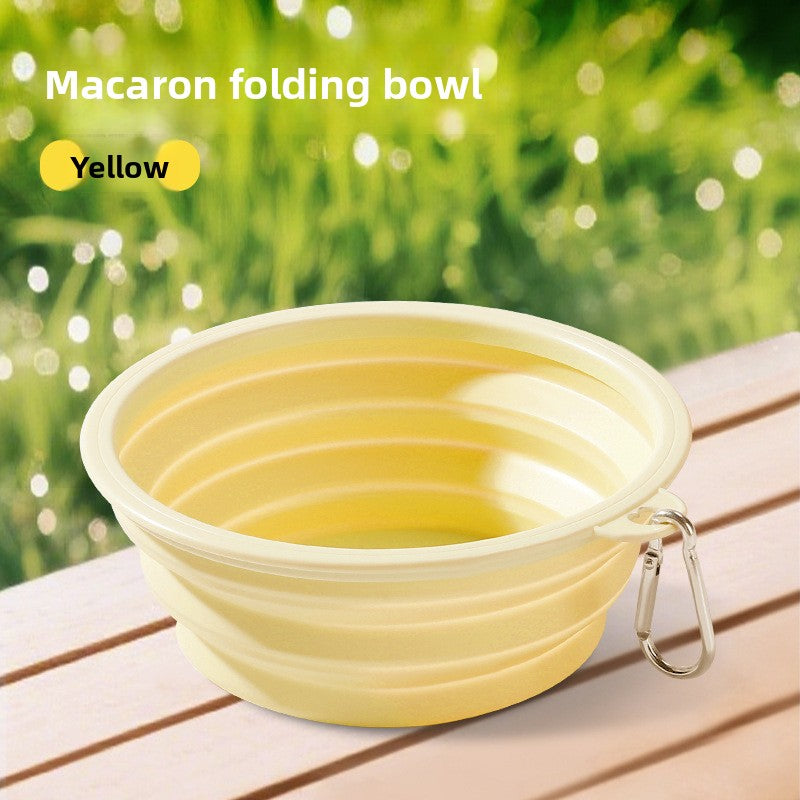 Pet Feeding Bowl