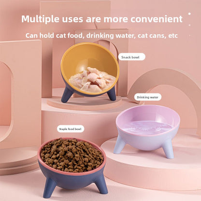 Pet Feeding Bowl