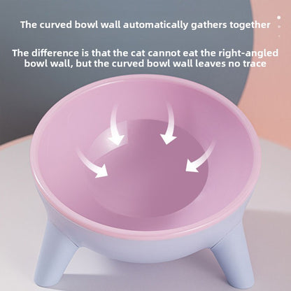 Pet Feeding Bowl