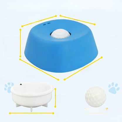 Pet Feeding Bowl