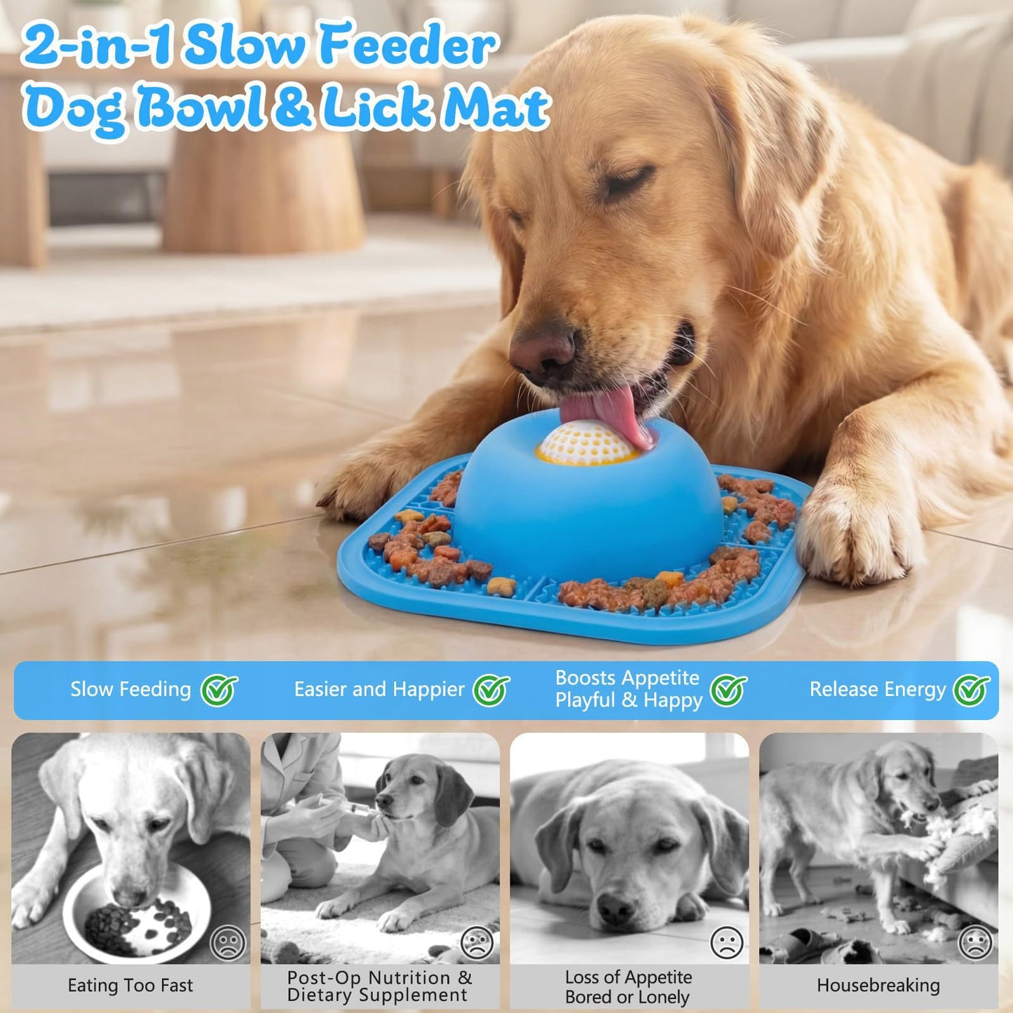Pet Feeding Bowl