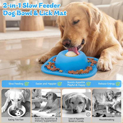 Pet Feeding Bowl