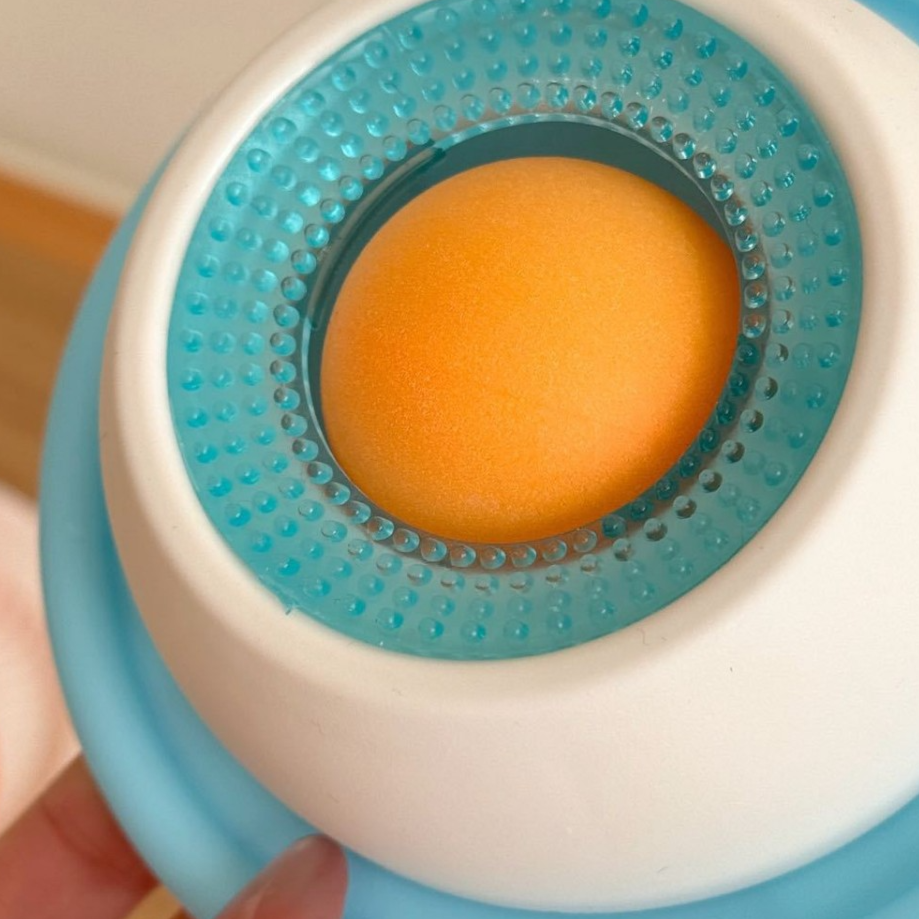 Pet Feeding Toy