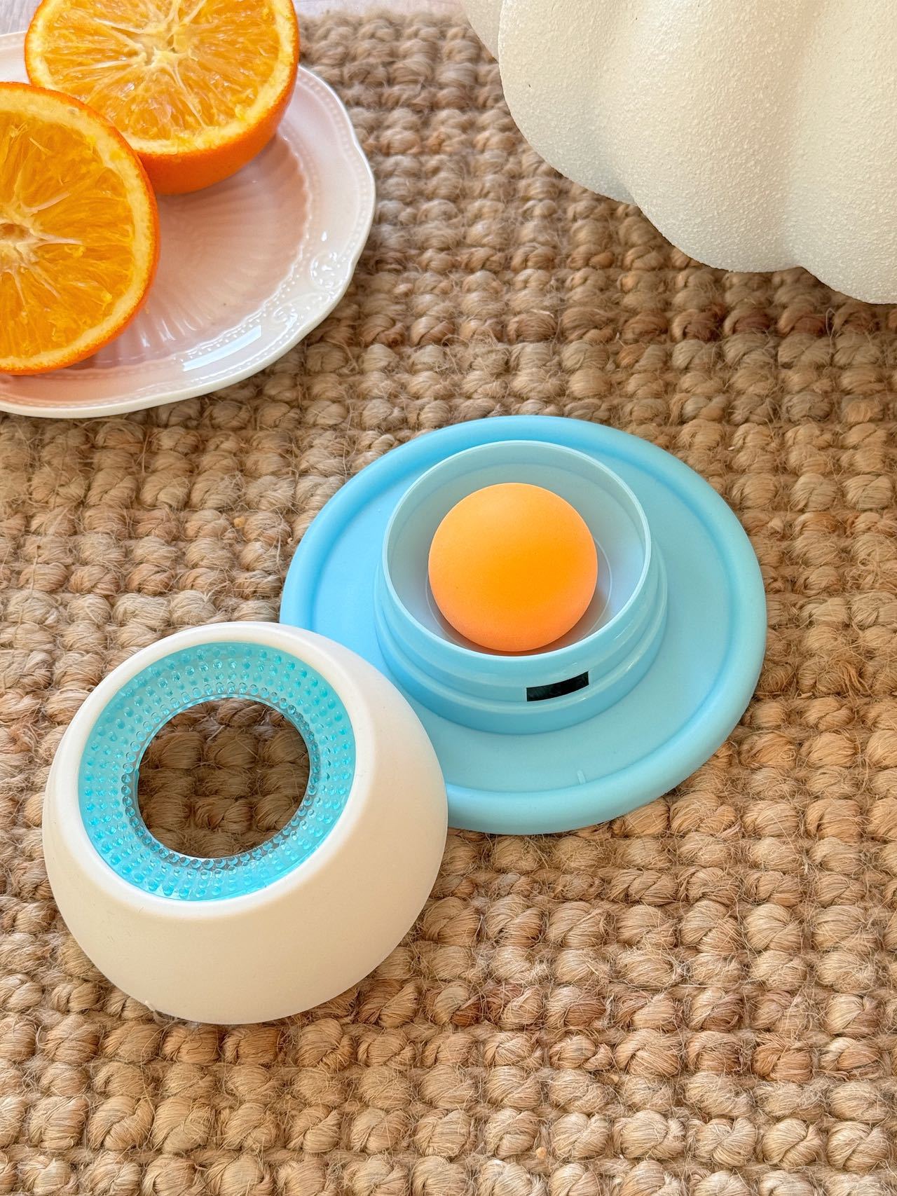Pet Feeding Toy