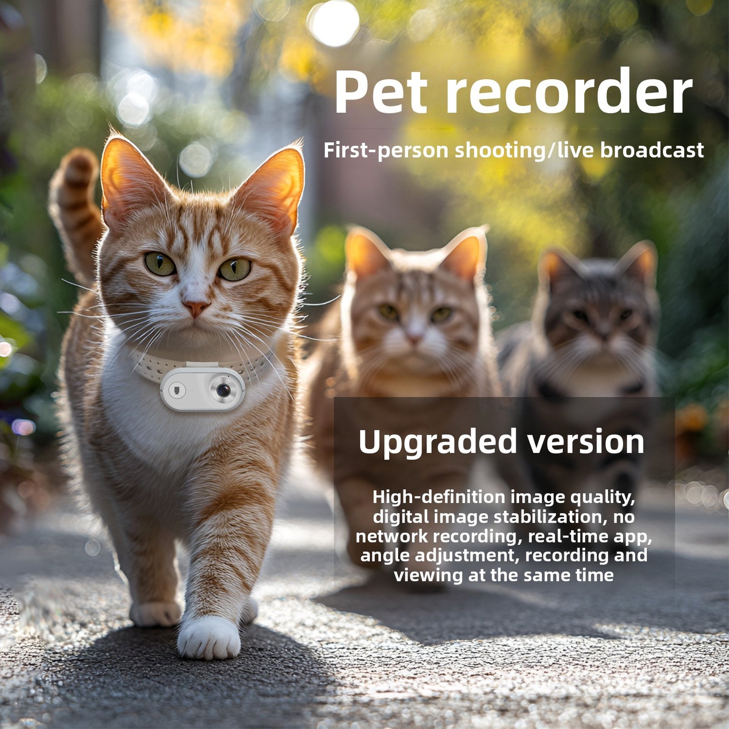 Pet First-Person View Camera with Night Vision and APP Control