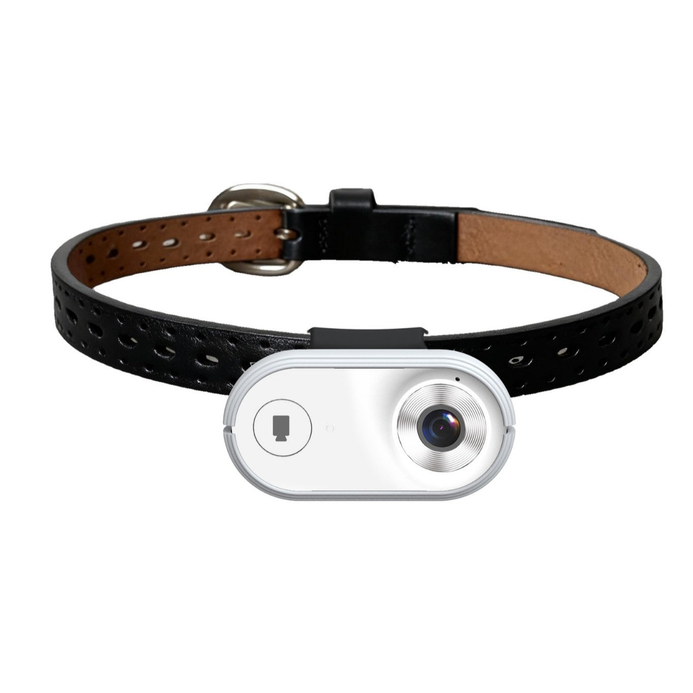 Pet First-Person View Camera with Night Vision and APP Control