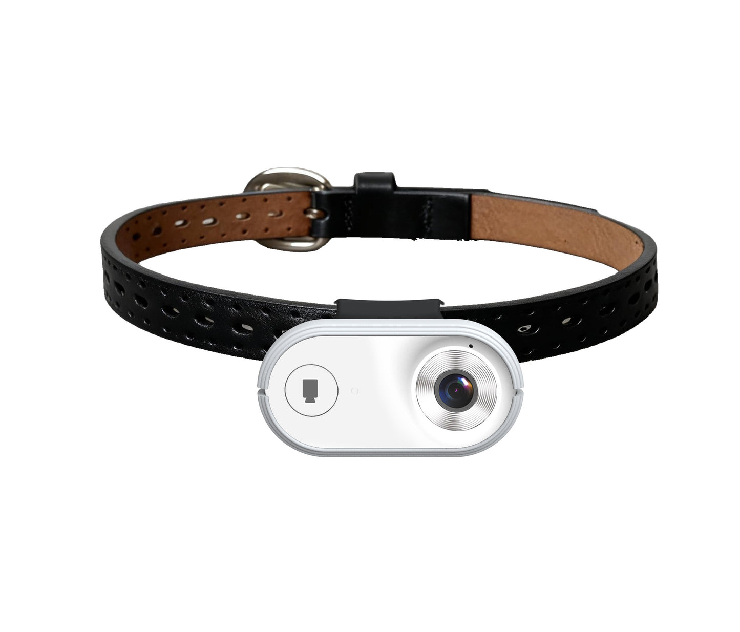 Pet First-Person View Camera with Night Vision and APP Control