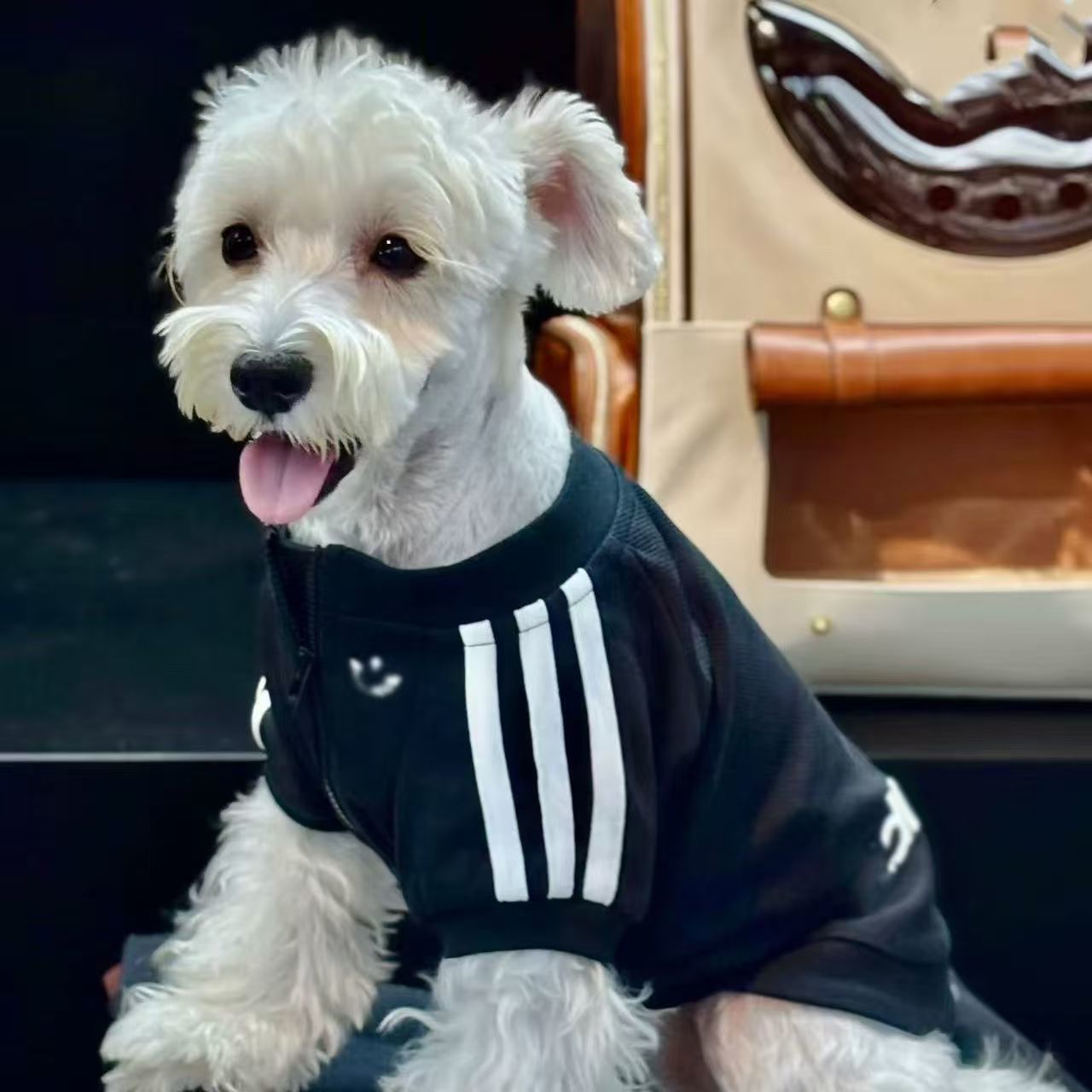 Pet fleece jacket