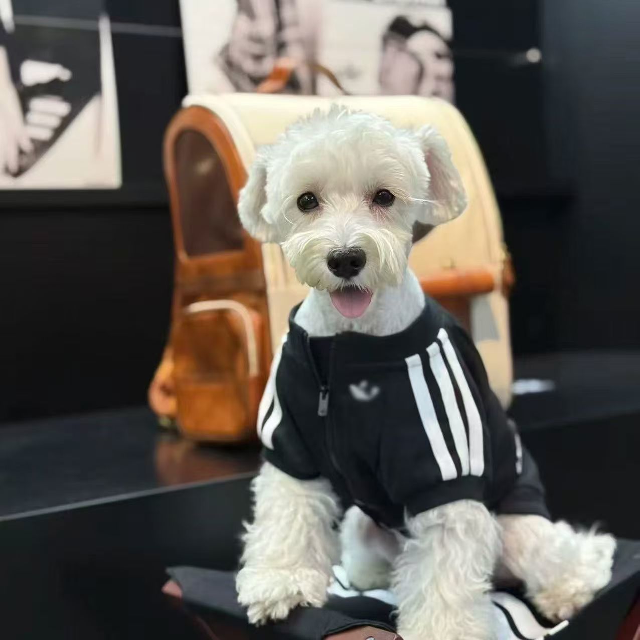 Pet fleece jacket