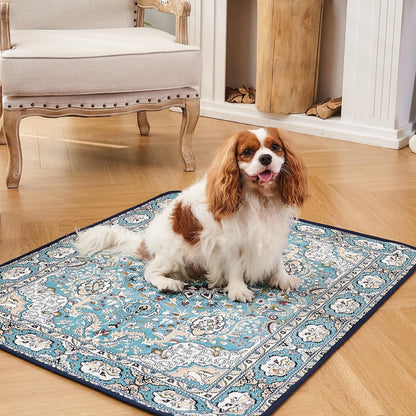 Pet Floor Mat