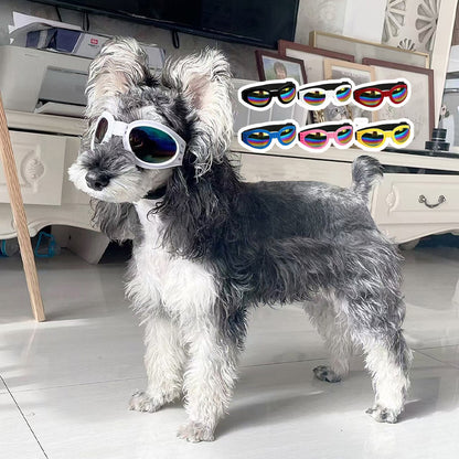 Pet foldable glasses