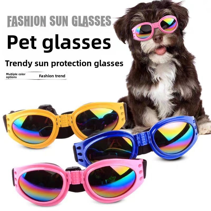 Pet foldable glasses