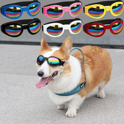 Pet foldable glasses