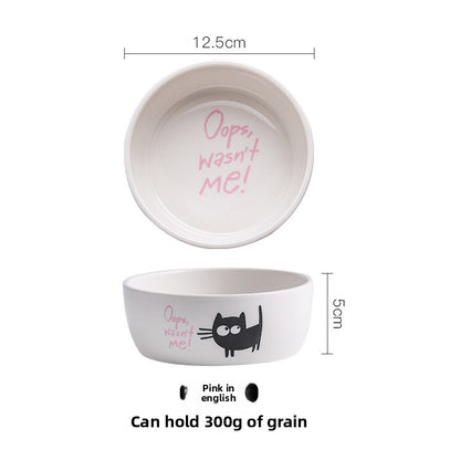 Pet Food Bowl