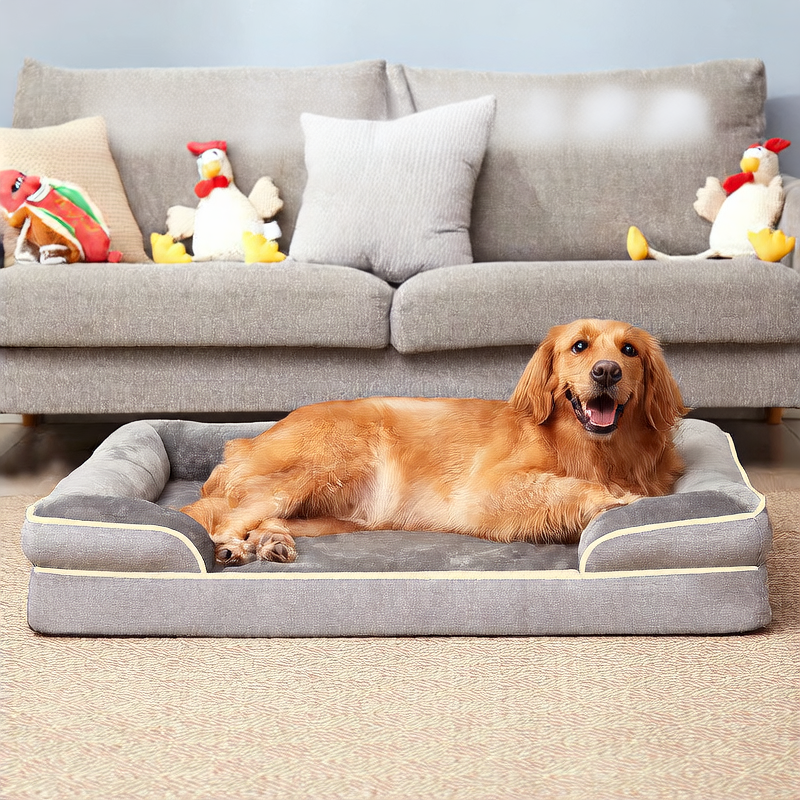 Pet-friendly dog beds can be disassembled and washed