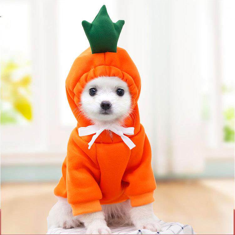 Pet Fruit Pattern Fleece Sweatshirt