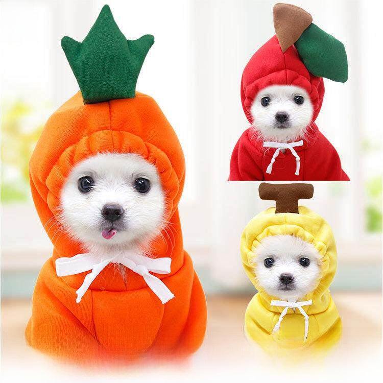 Pet Fruit Pattern Fleece Sweatshirt