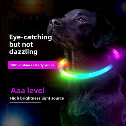 Pet Glow Collar