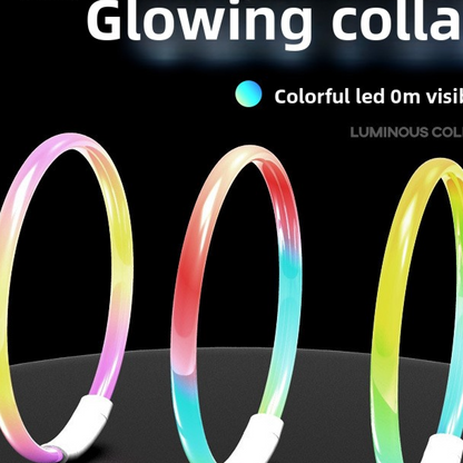 Pet Glow Collar