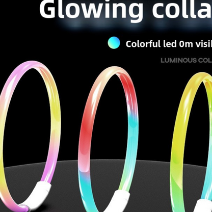 Pet Glow Collar