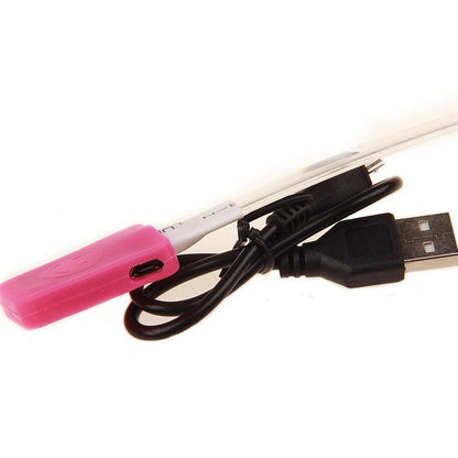 Pet glowing collar