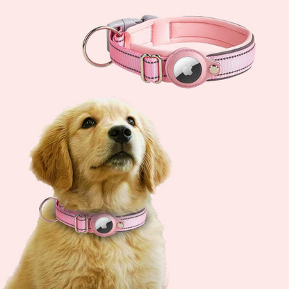 Pet GPS collar