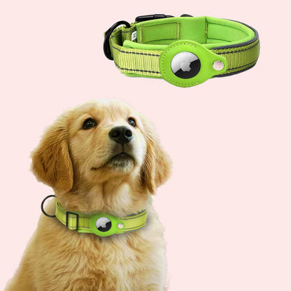 Pet GPS collar
