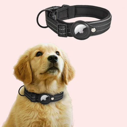 Pet GPS collar