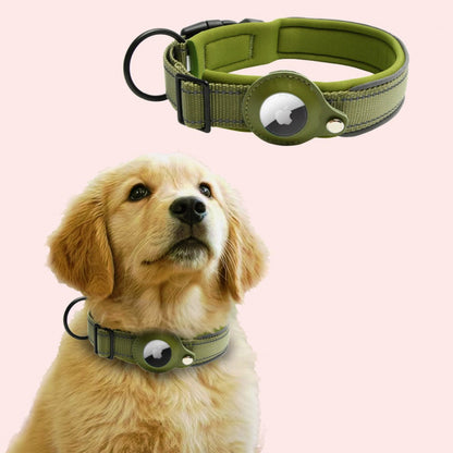 Pet GPS collar