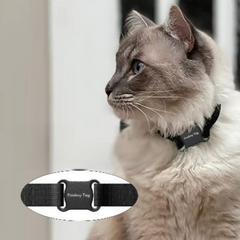 White With Text Collar