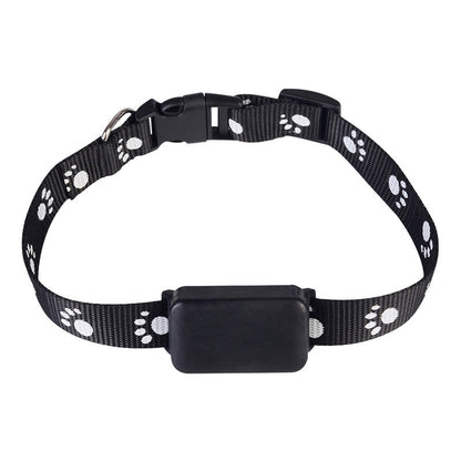 Pet GPS Tracker