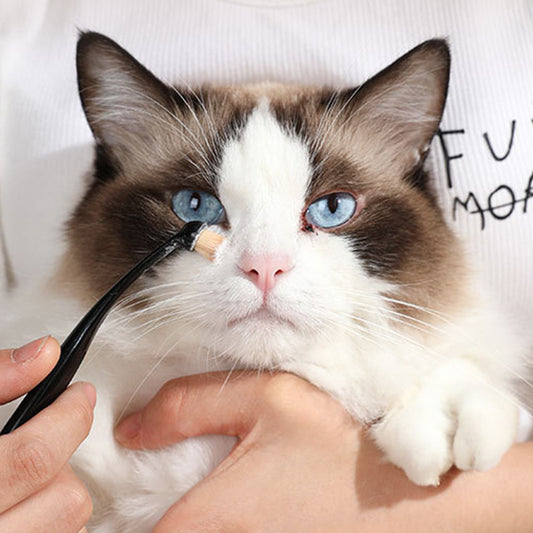 Pet Grooming Cream