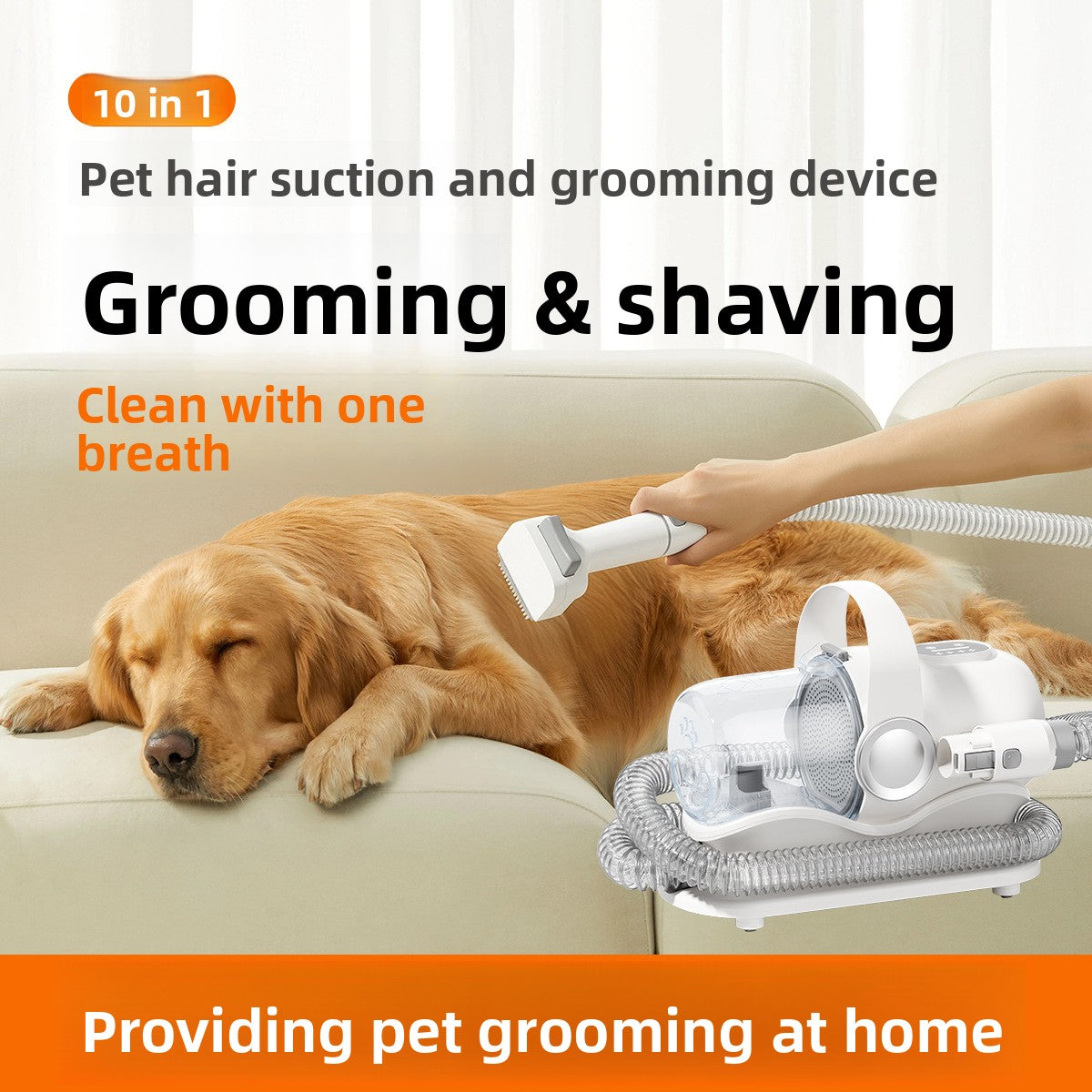 Pet Grooming Tools