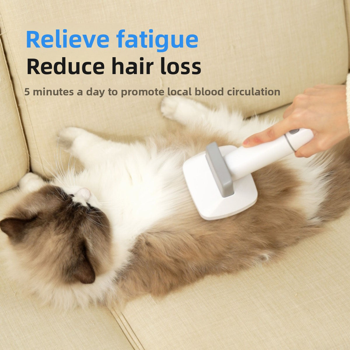 Pet Grooming Tools