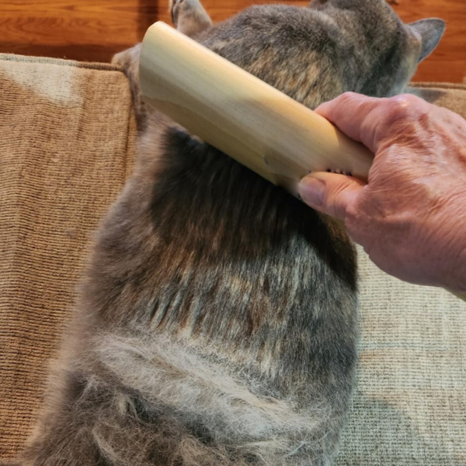 Pet Hair Brush