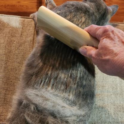 Pet Hair Brush