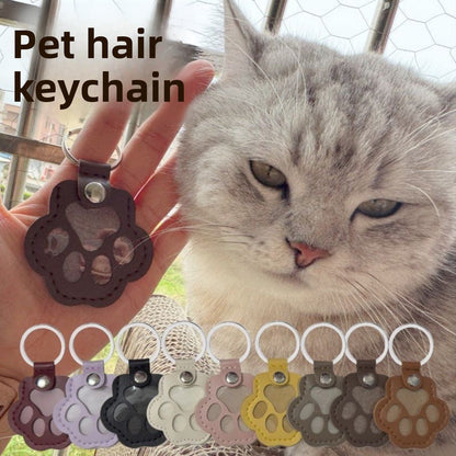 pet hair keepsake