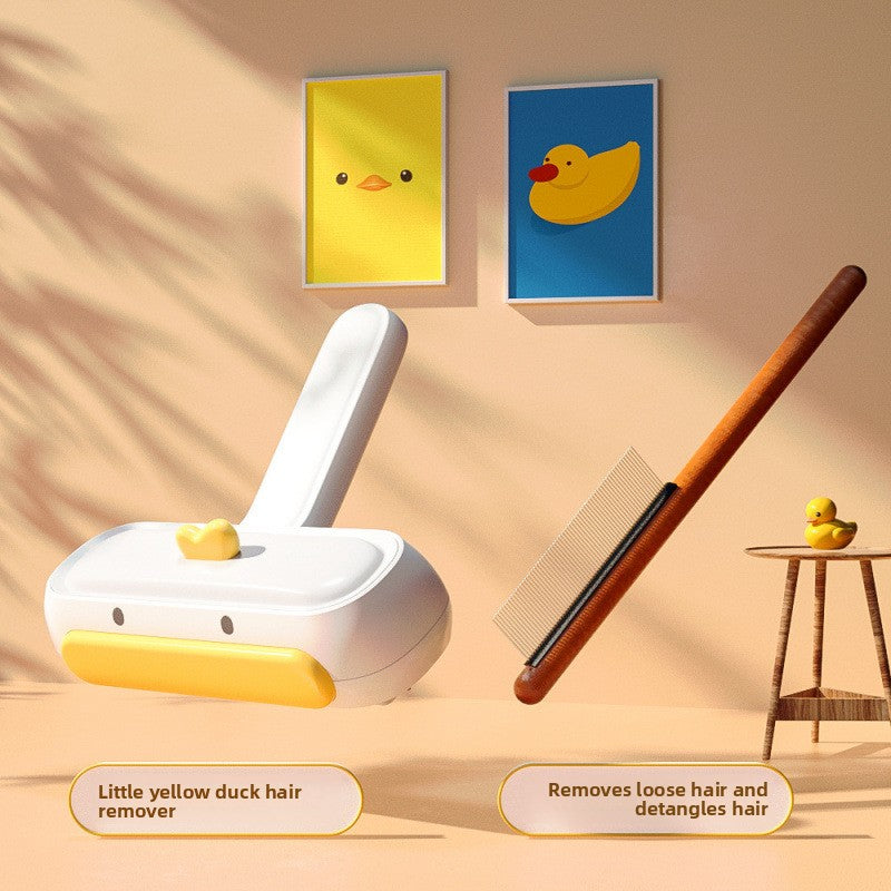 Pet Hair Remover for Bed and Carpet
