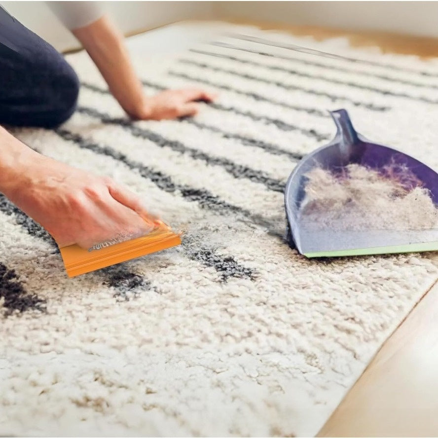 Pet Hair Scraper