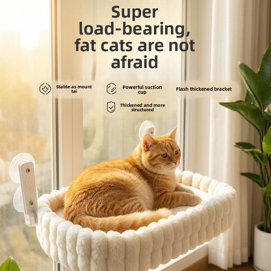 Pet Hammock