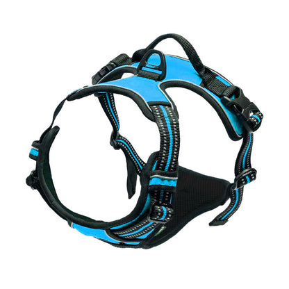 Pet harness