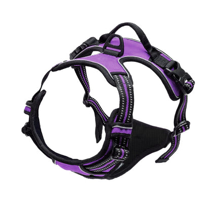 Pet harness